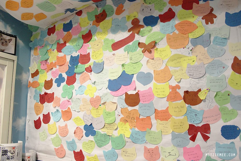 Hapi Neko, Cat cafe in Tokyo