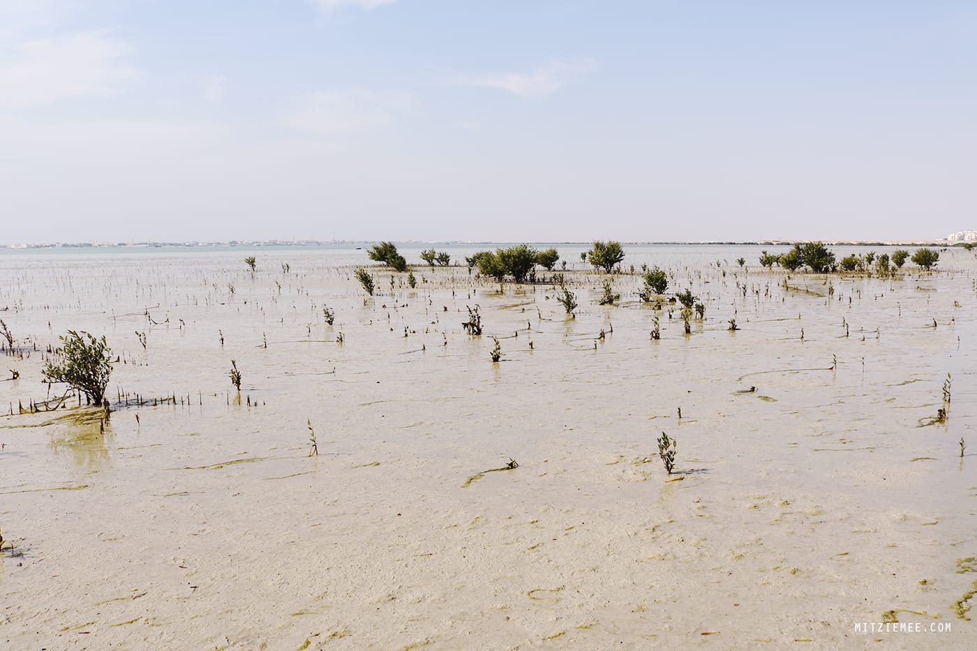 Purple Island, Qatar