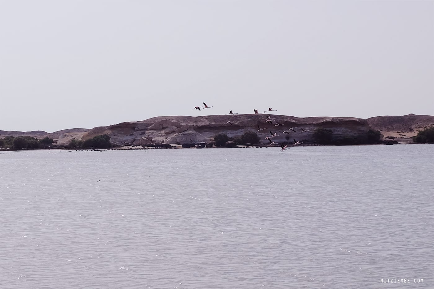 Purple Island, Qatar