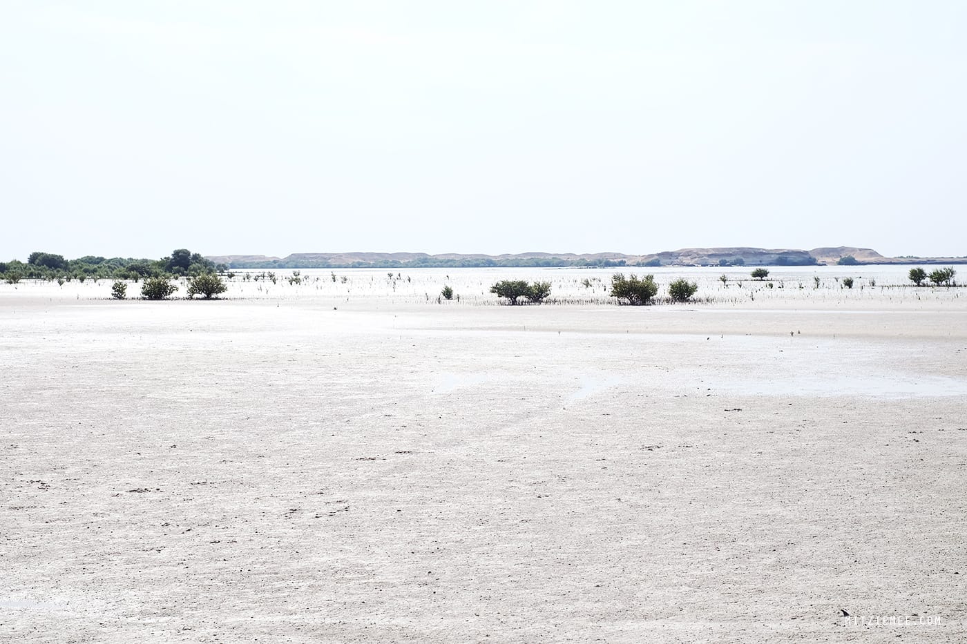 Purple Island, Qatar