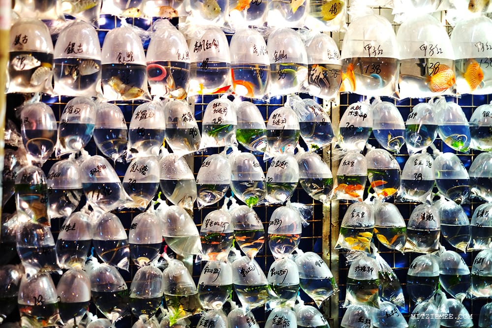 Hong Kong Goldfish Market