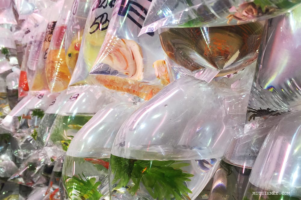 Hong Kong Goldfish Market