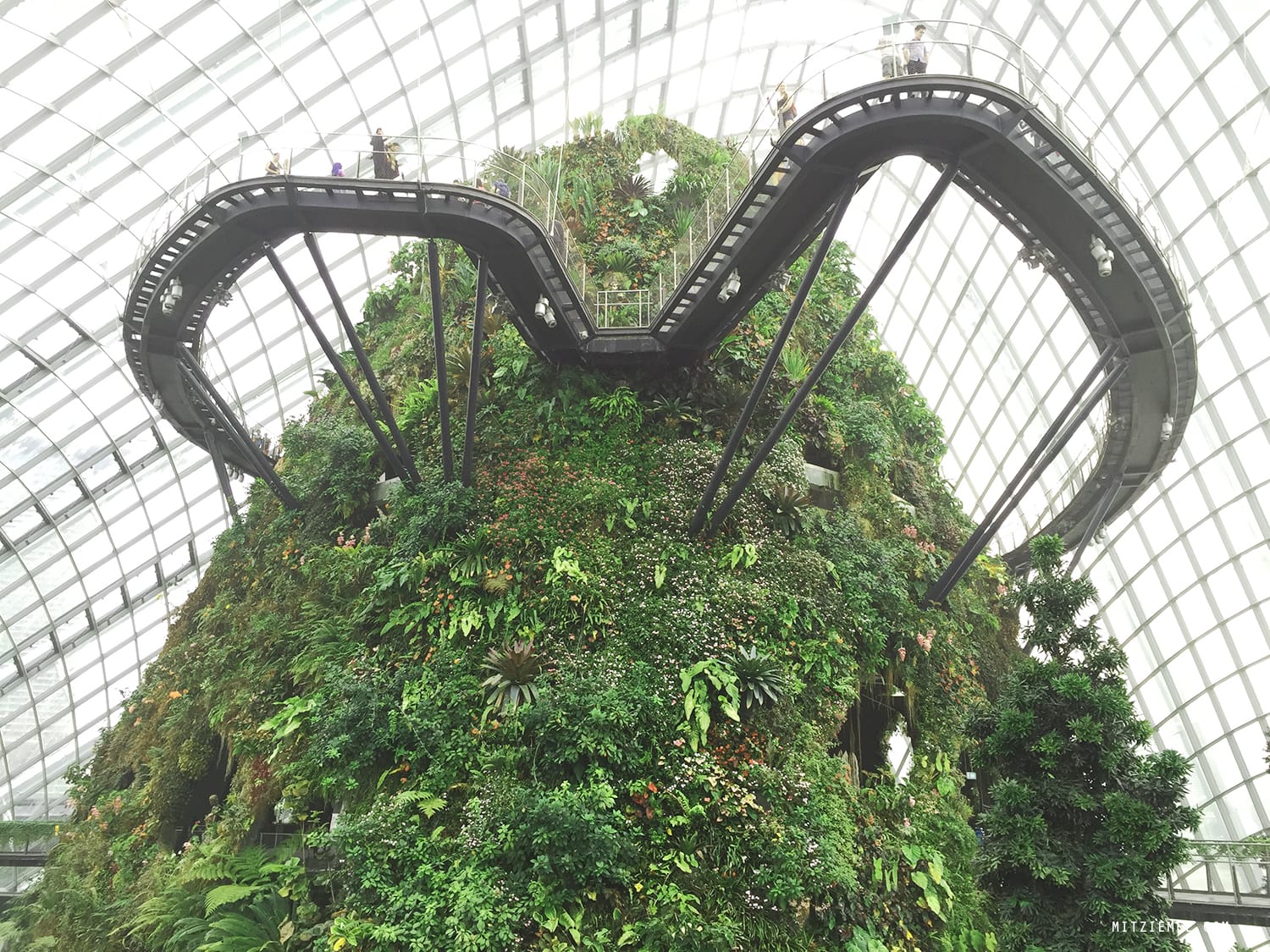 Cloud Forest at Gardens by the Bay, Singapore