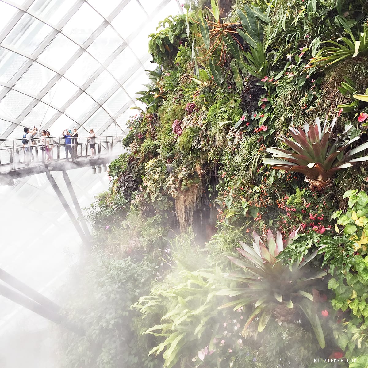 Cloud Forest at Gardens by the Bay, Singapore