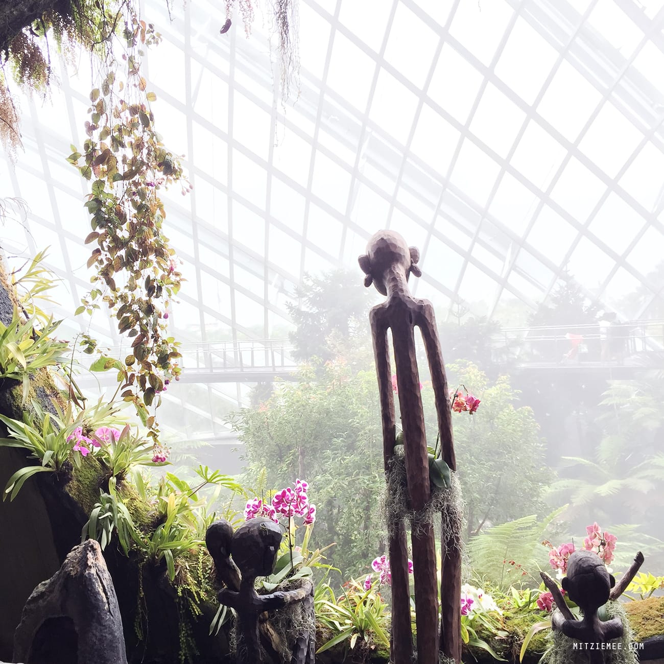 Cloud Forest at Gardens by the Bay, Singapore