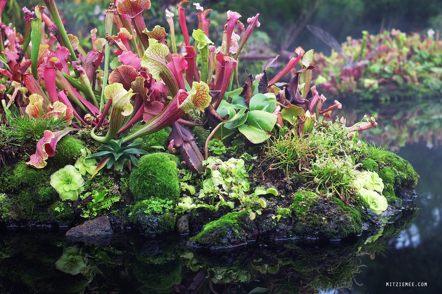 Cloud Forest at Gardens by the Bay, Singapore
