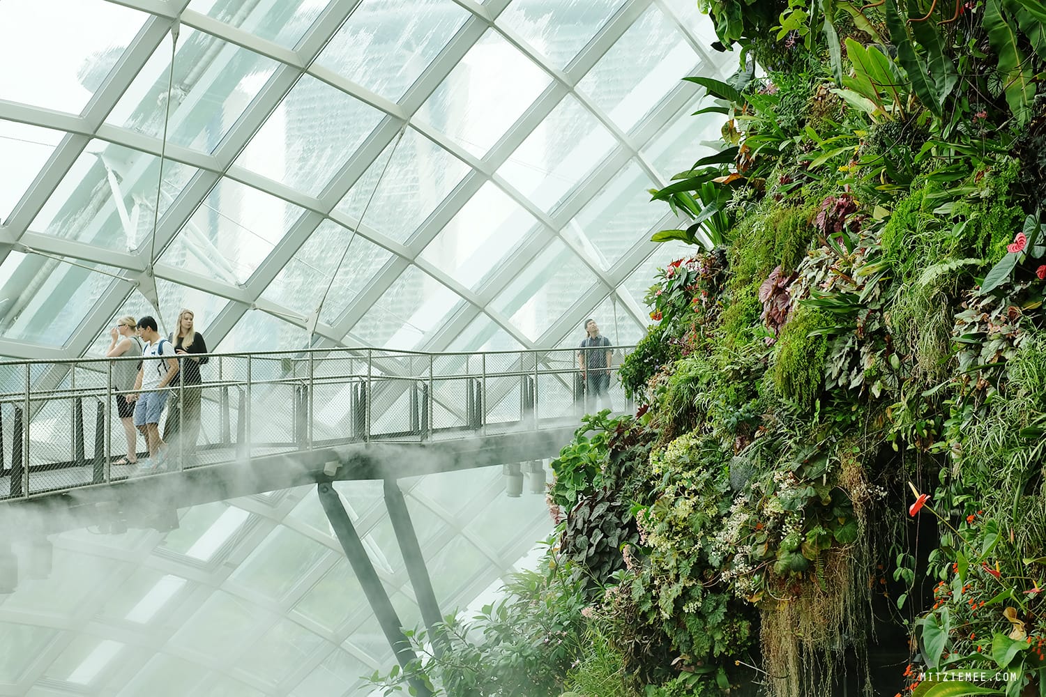 Cloud Forest at Gardens by the Bay, Singapore
