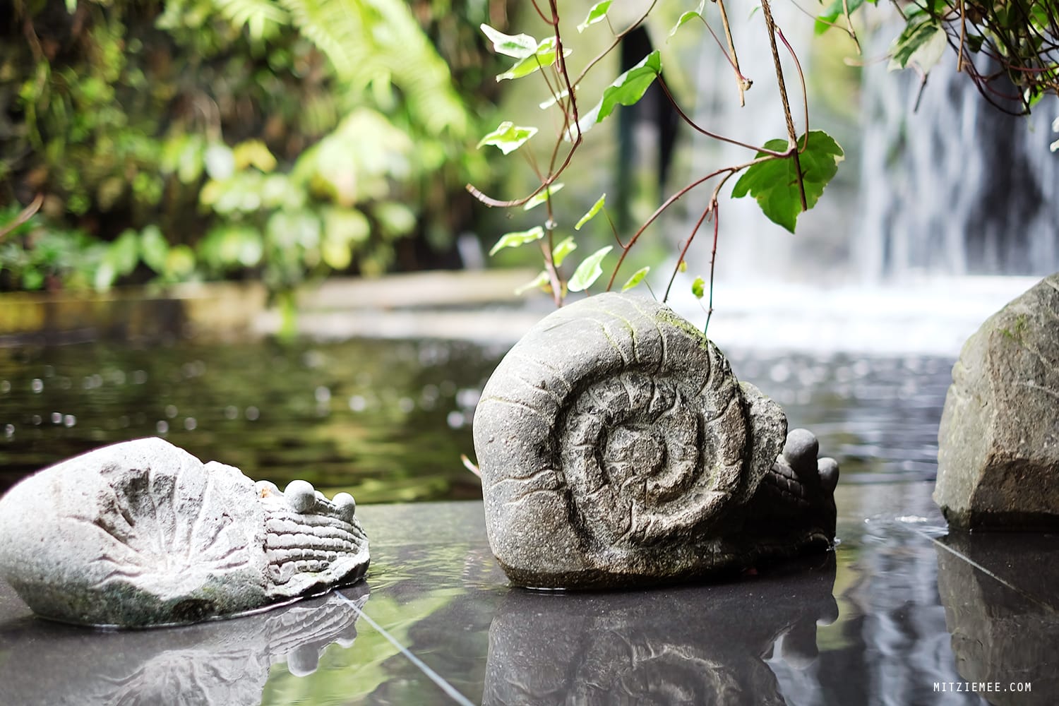 Cloud Forest at Gardens by the Bay, Singapore