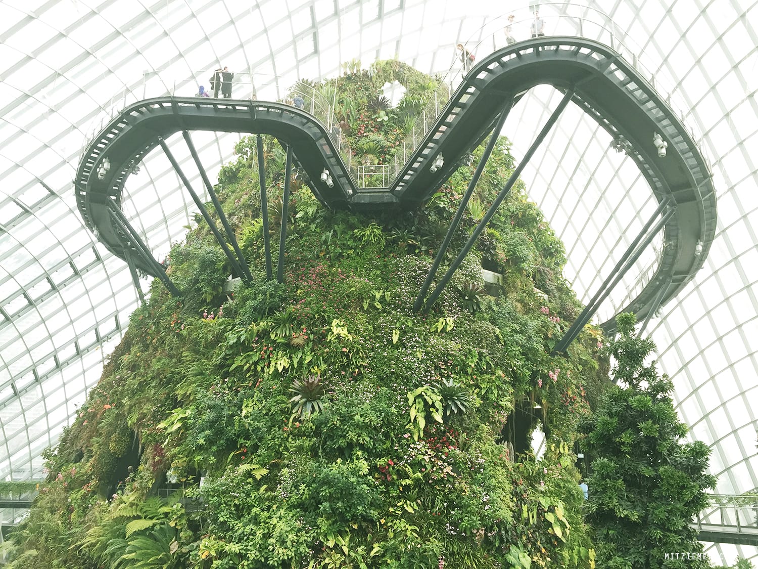 Cloud Forest at Gardens by the Bay, Singapore