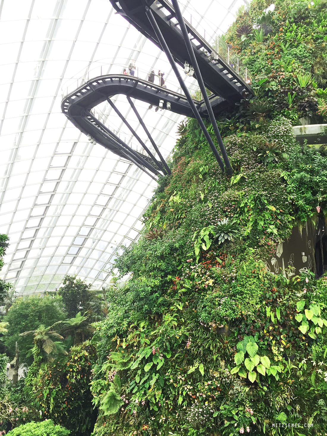 Cloud Forest at Gardens by the Bay, Singapore