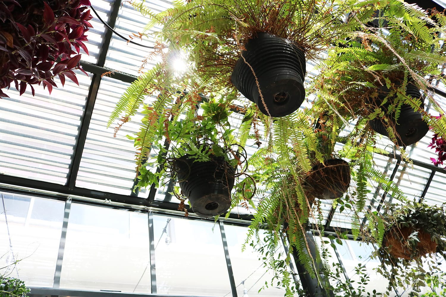 Commissary, The Line Hotel, Los Angeles