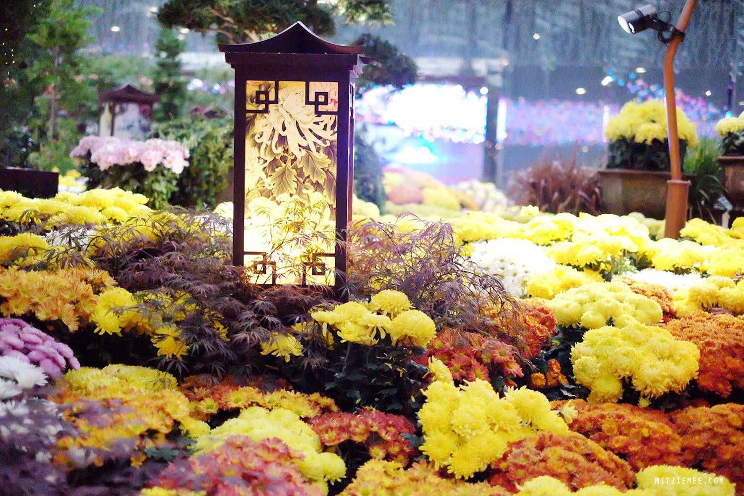 Flower Dome at Gardens by the Bay