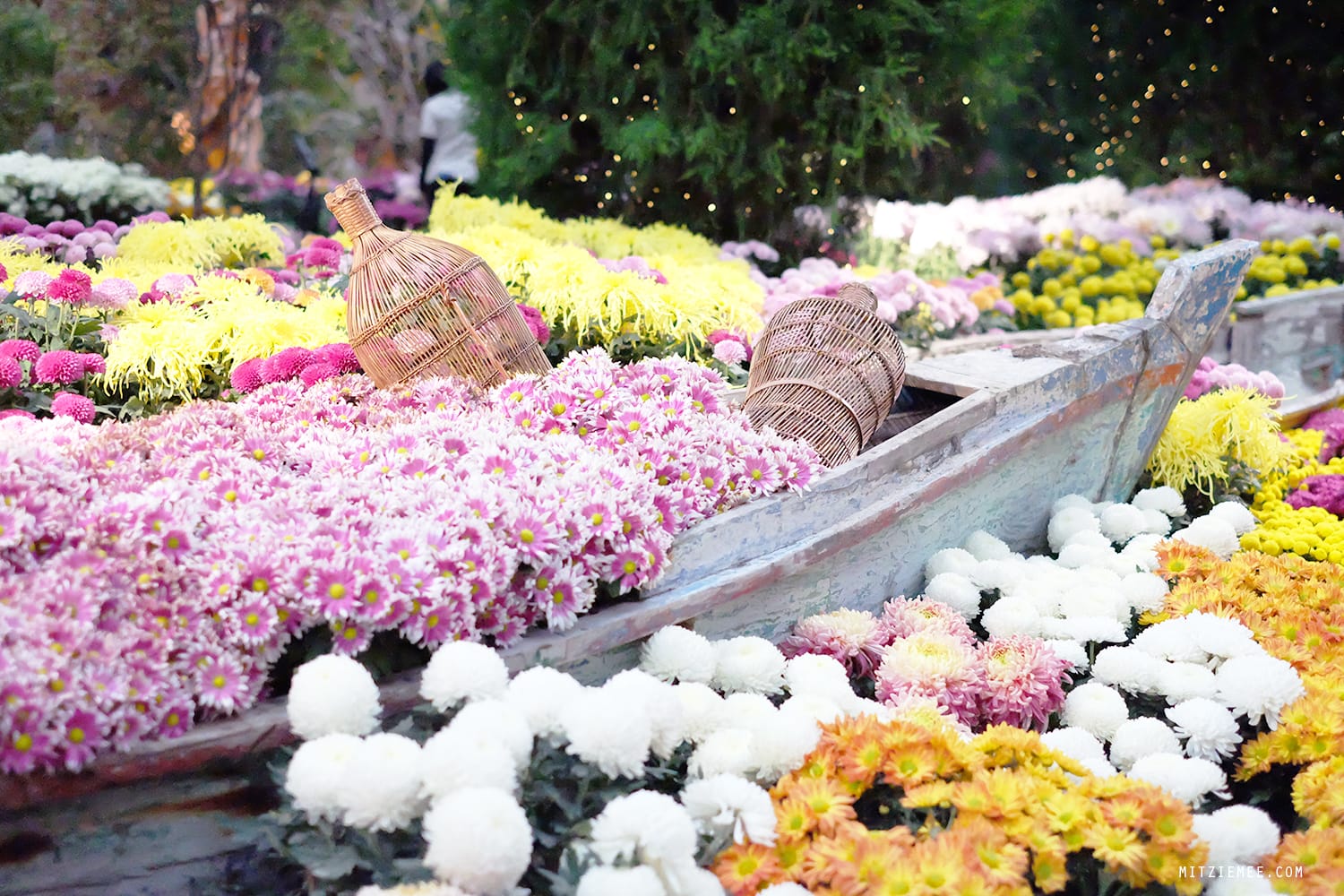 Flower Dome at Gardens by the Bay