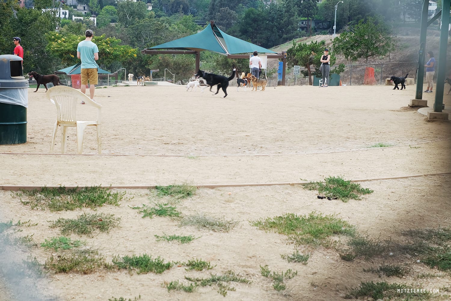 Silver Lake Reservoir, Los Angeles