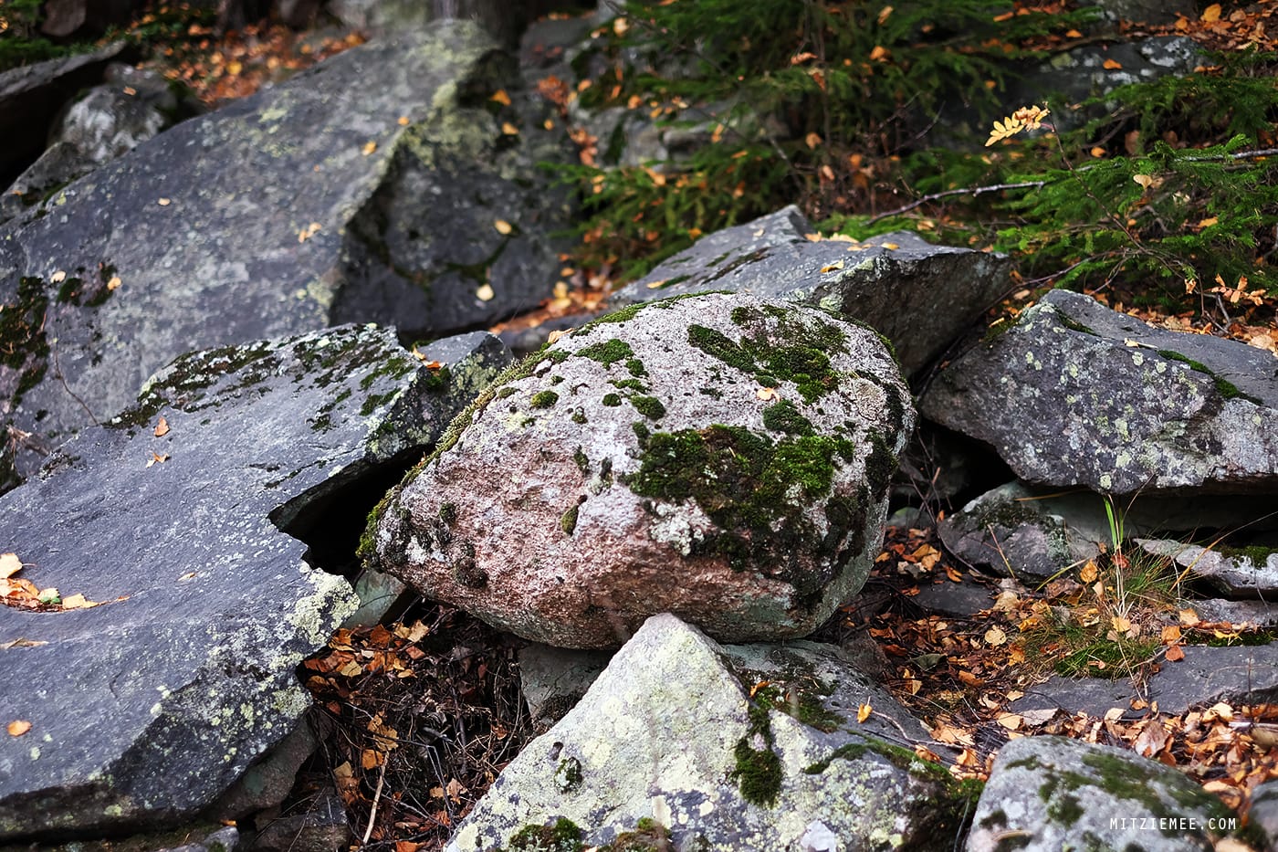 Sognsvann, oslo