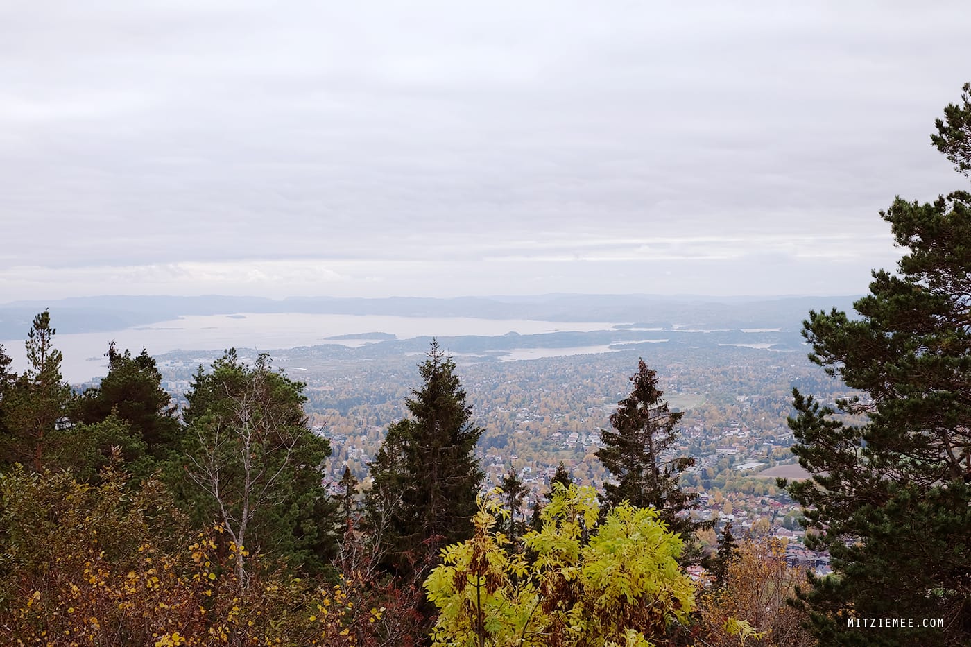 View of Oslo Fjord from Holmenkollen