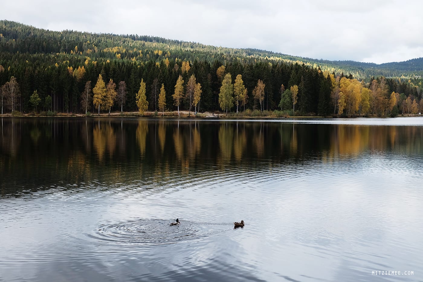 Sognsvann, oslo