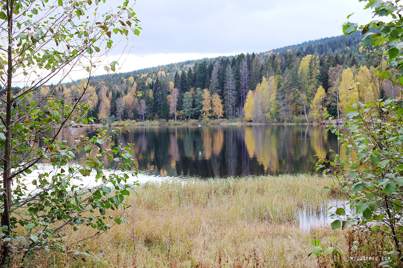 Sognsvann, oslo