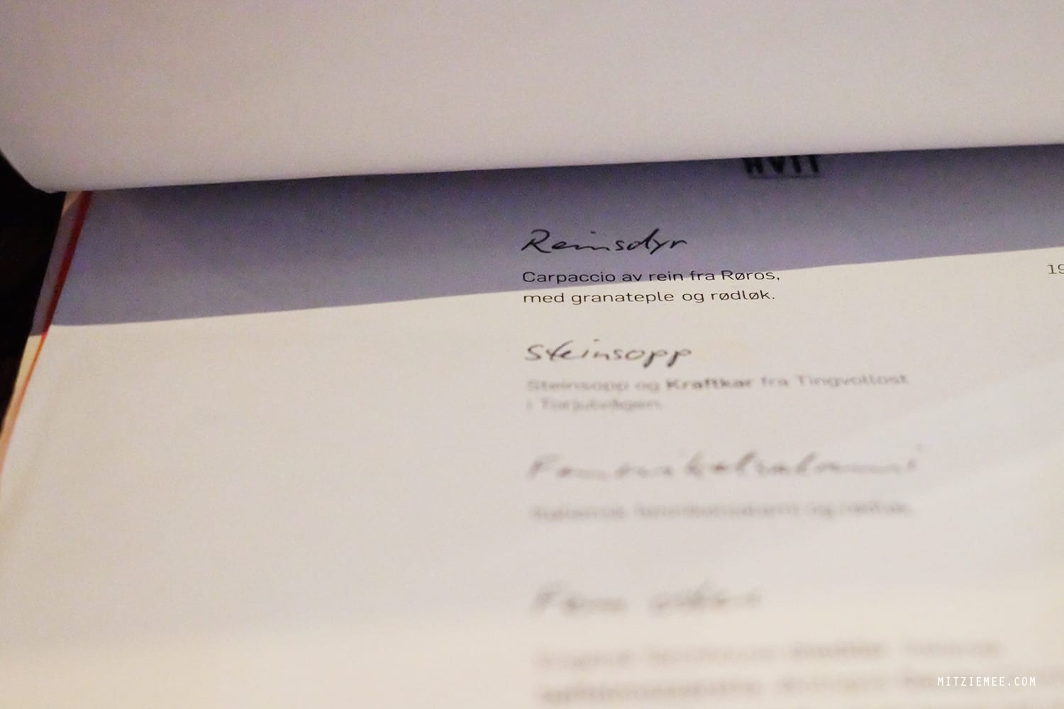 Reindeer pizza at Tranen, Oslo