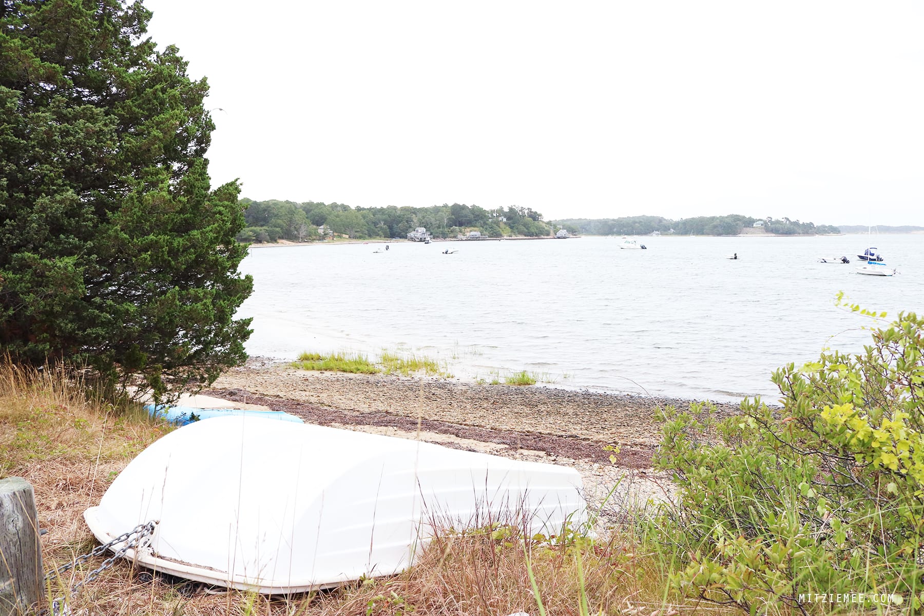 A visit from a religious sect