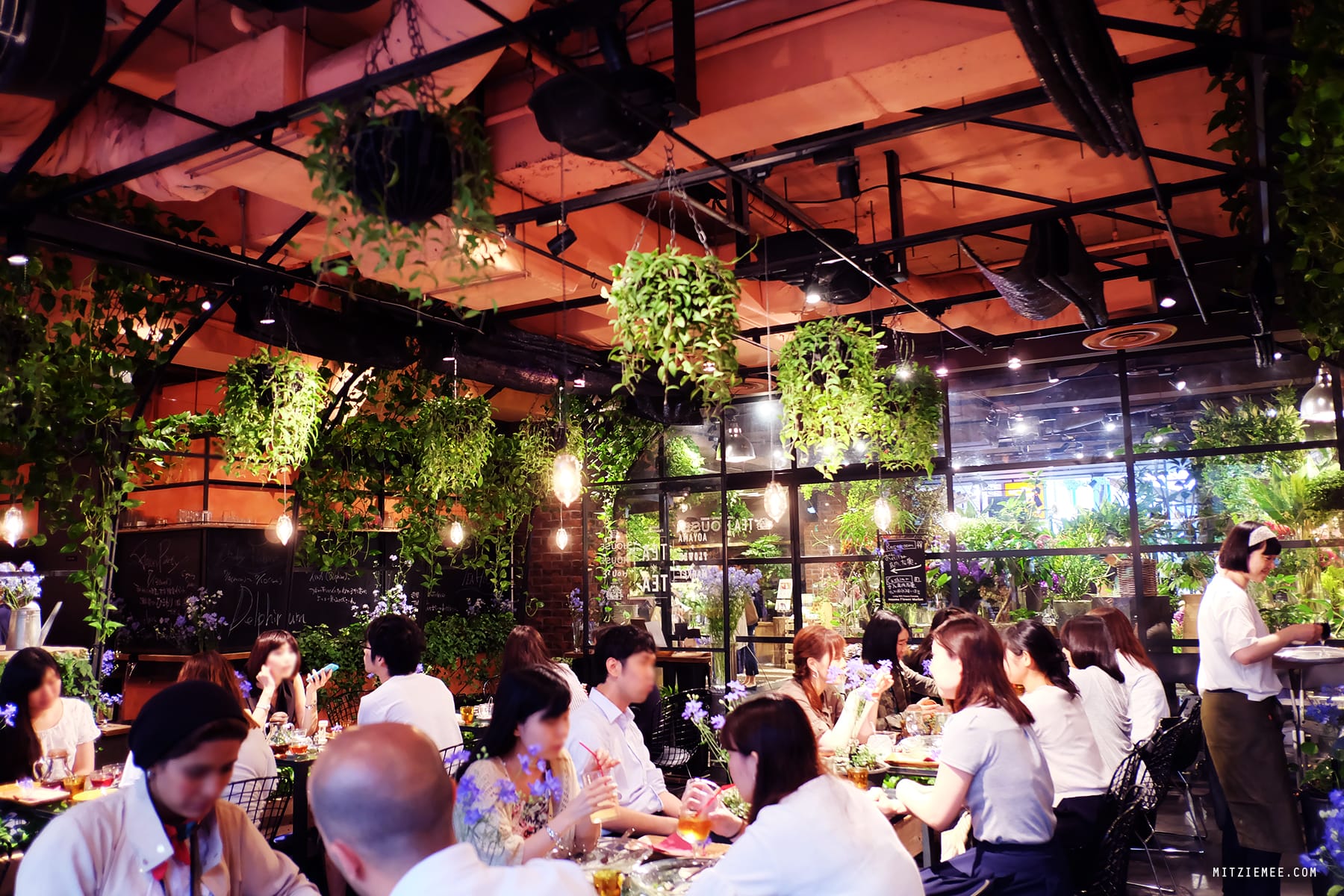 Aoyama Flower Market Tea House, Tokyo