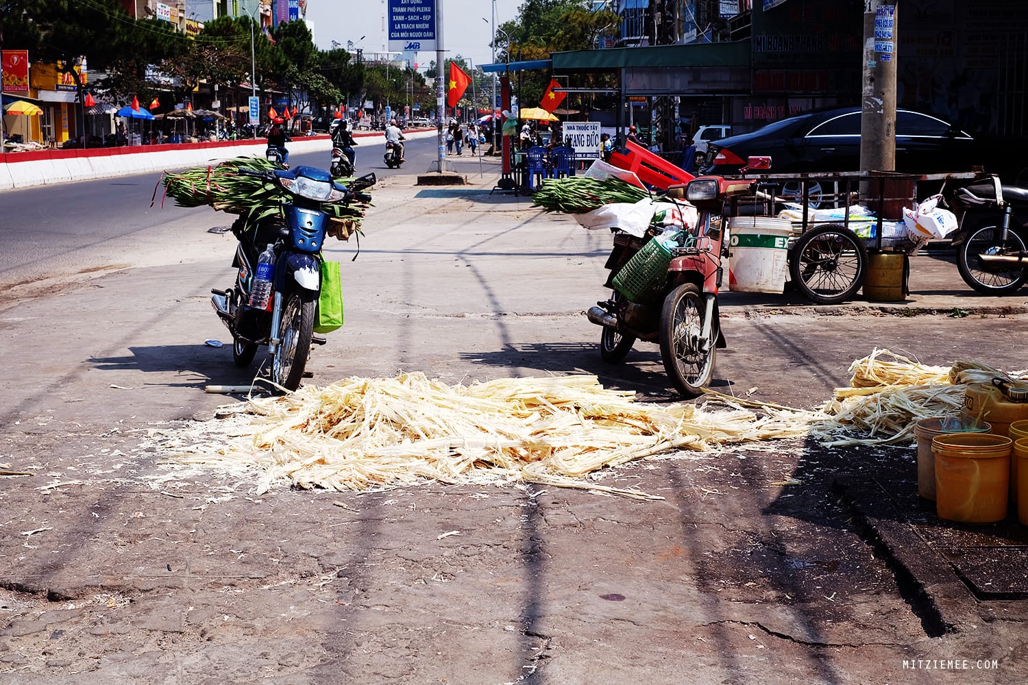 Pleiku Central Market, Vietnam