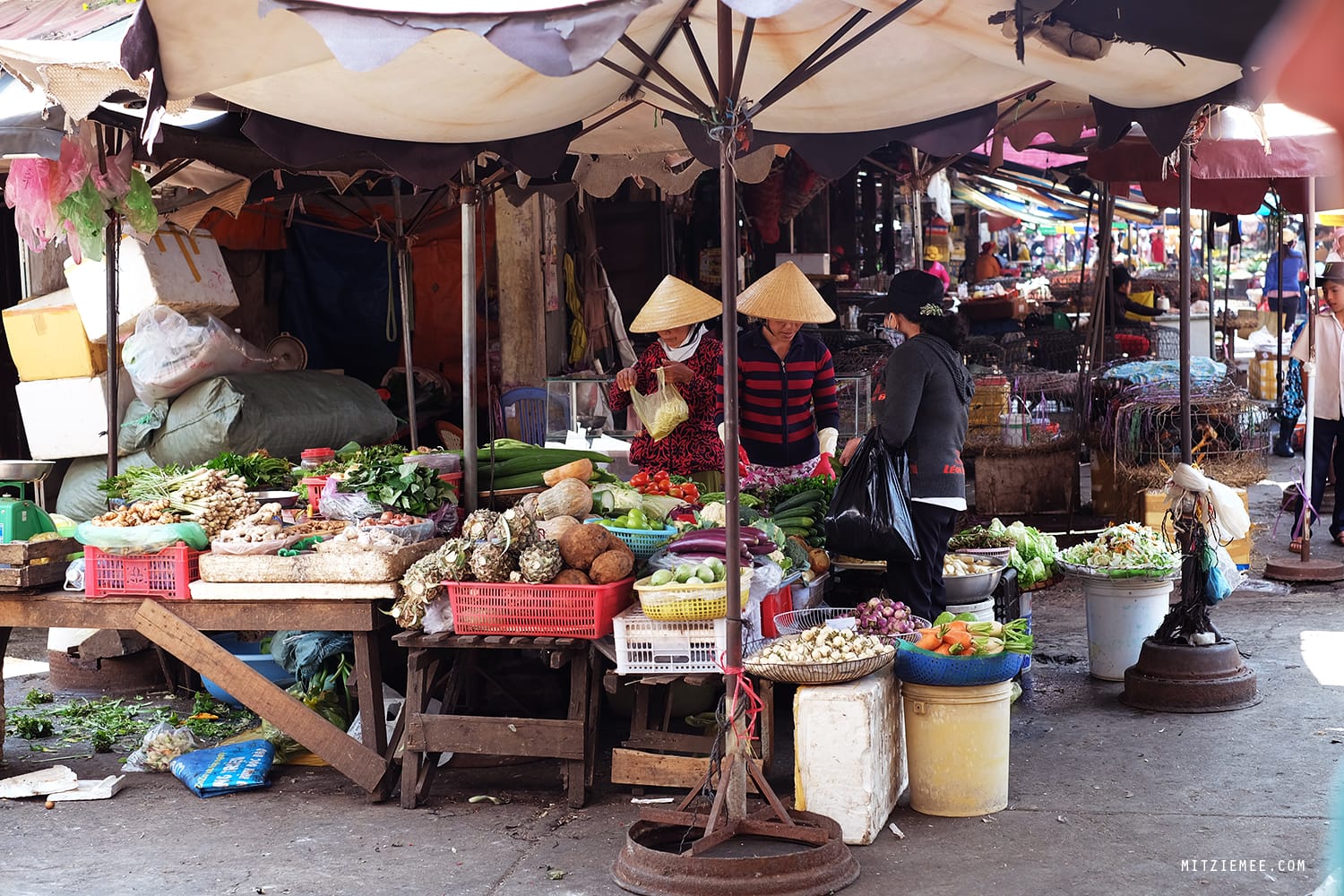 Pleiku Central Market, Vietnam