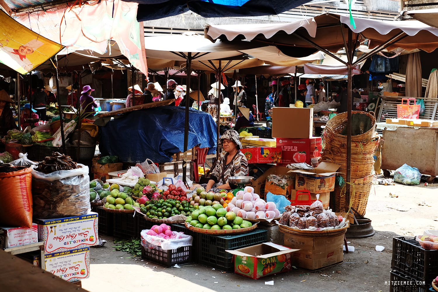 Pleiku Central Market, Vietnam