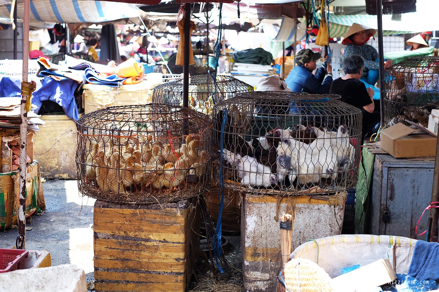 Pleiku Central Market, Vietnam