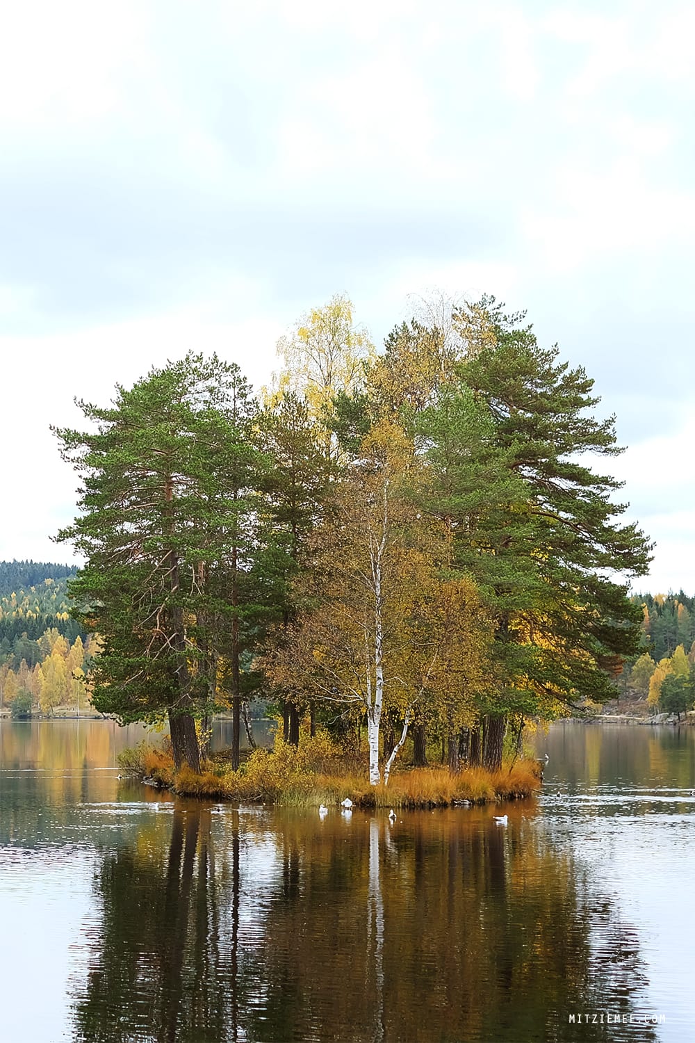 Sognsvann, oslo