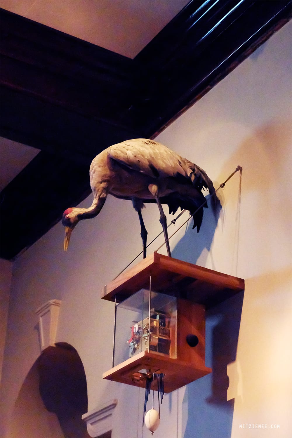 Reindeer pizza at Tranen, Oslo