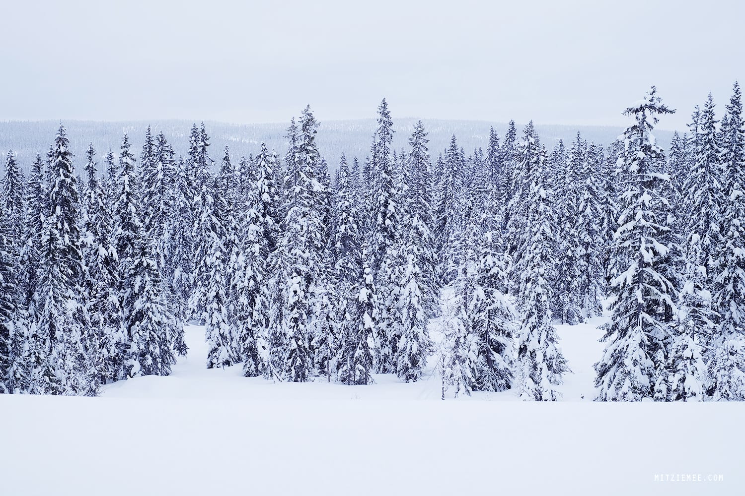 Trysil, Norway