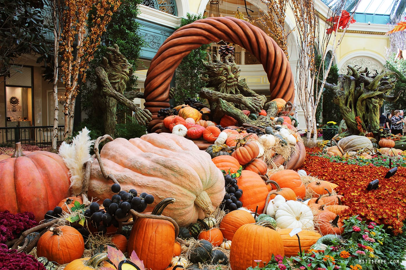 The Conservatory at Bellagio, Las Vegas
