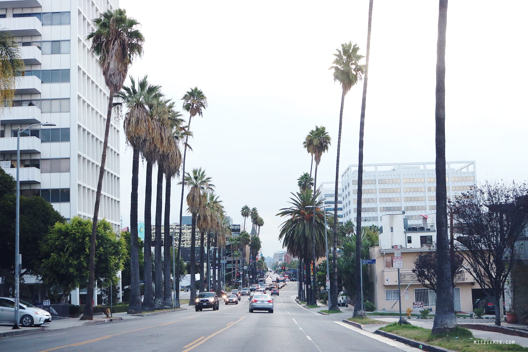 Driving in Los Angeles