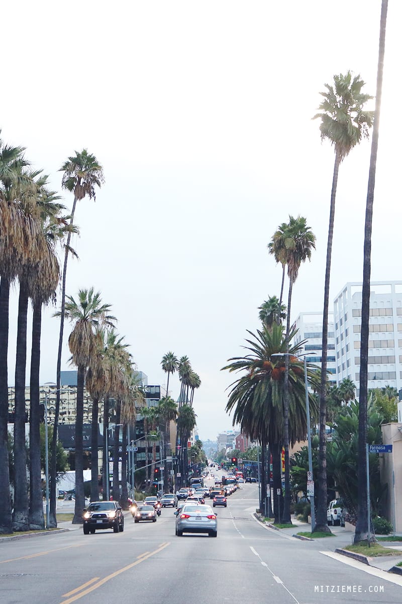 Driving in Los Angeles