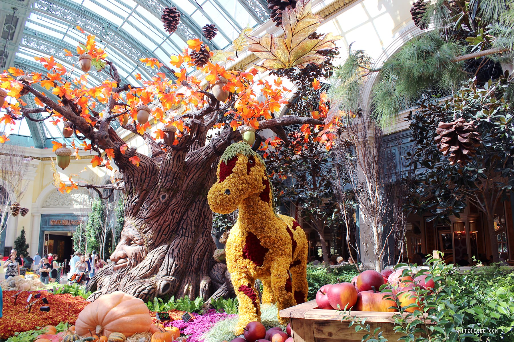 The Conservatory at Bellagio, Las Vegas