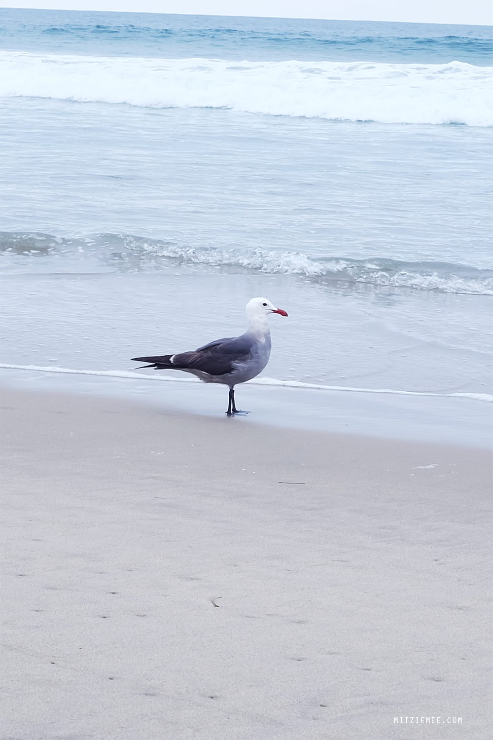 Manhattan beach, Los Angeles