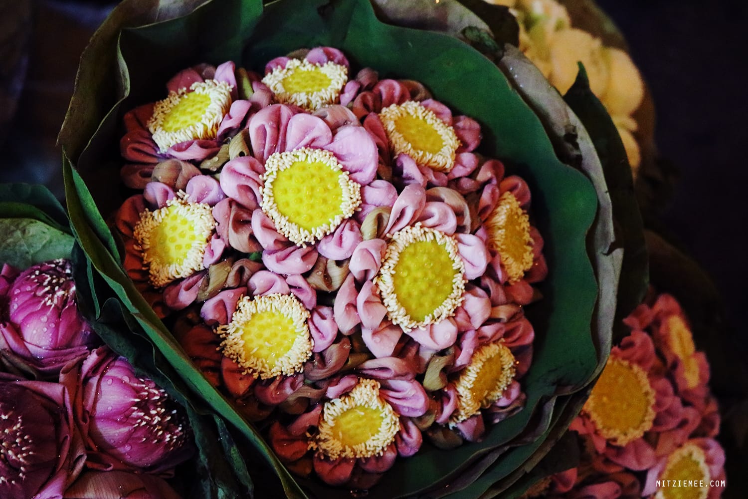 Bangkok Flower Market