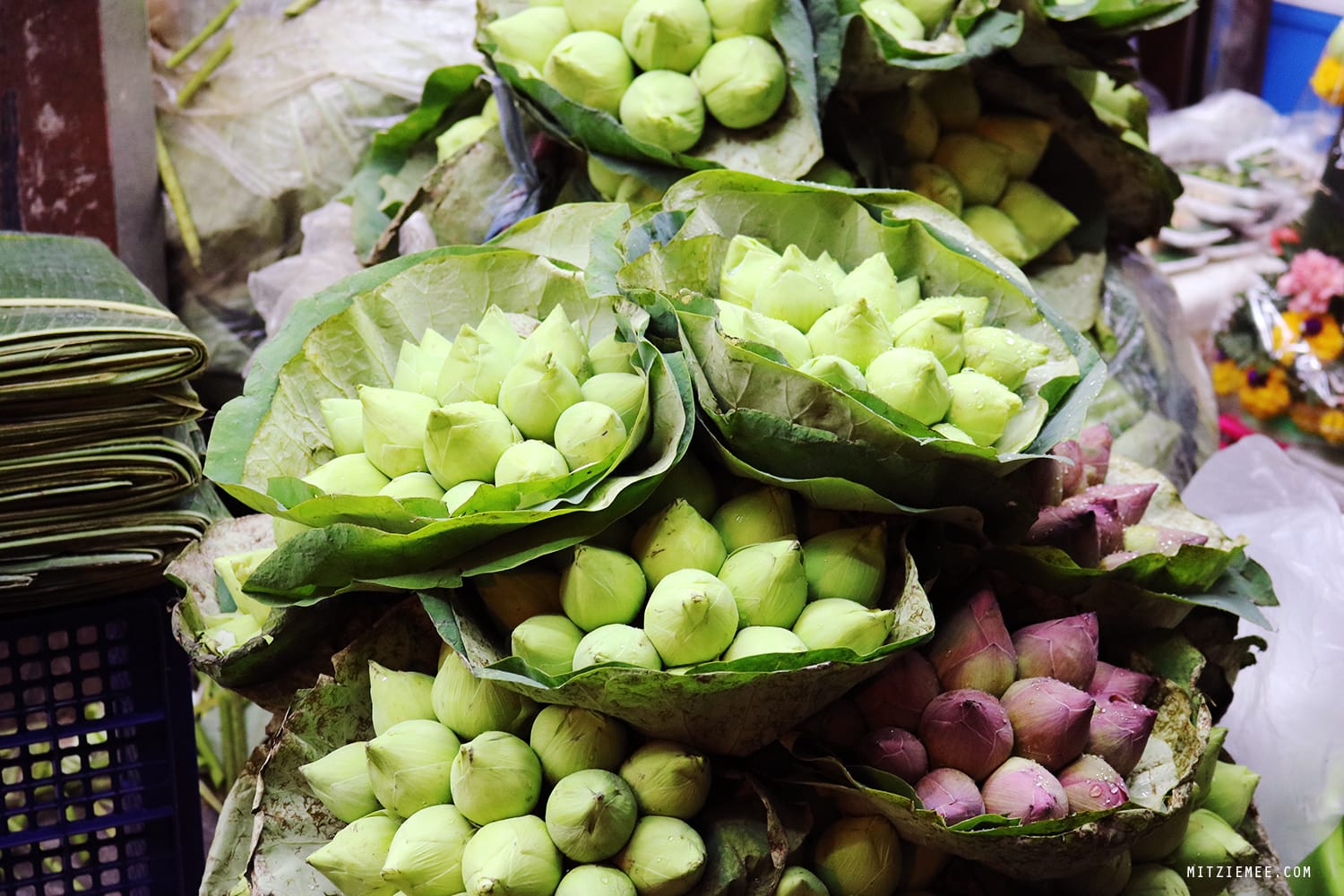 Bangkok Flower Market