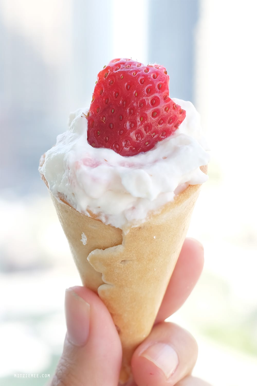 dessert cones, Karen Volf, Denmark