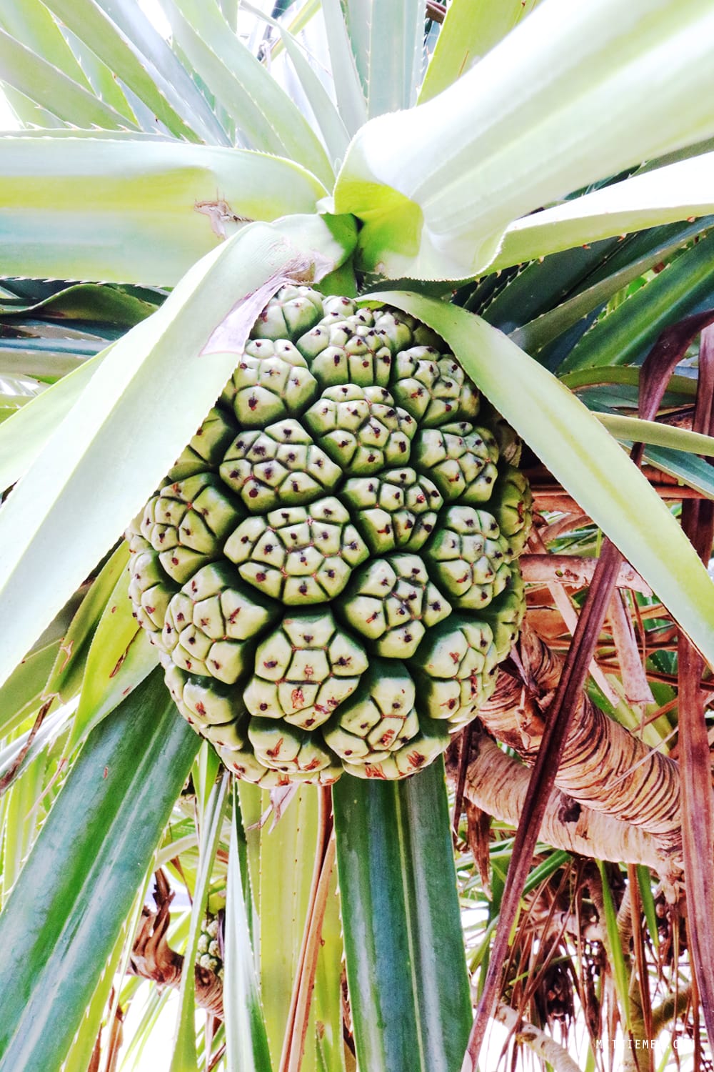 Nusa Dua Beach, Bali