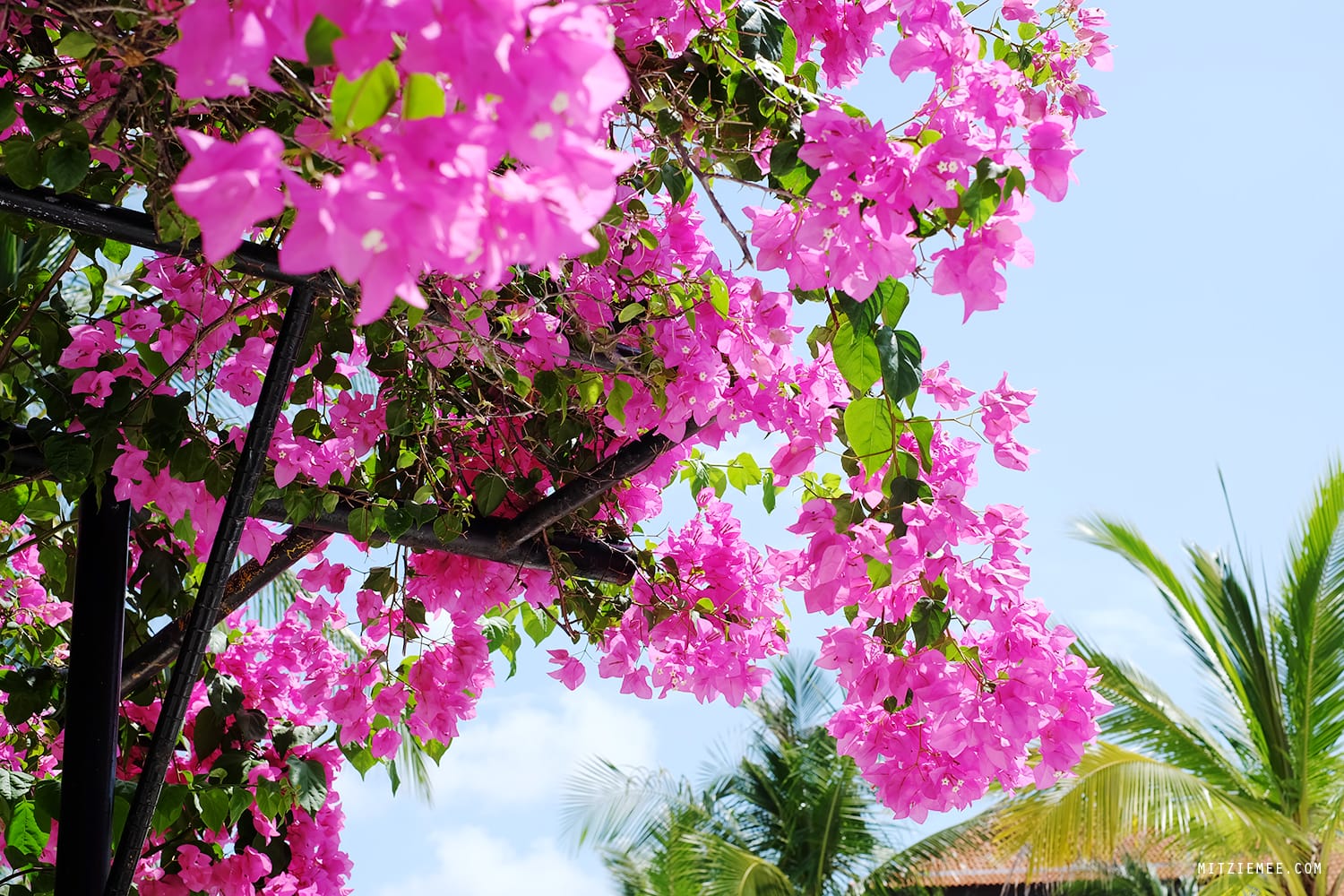 Westin Nusa Dua, Bali