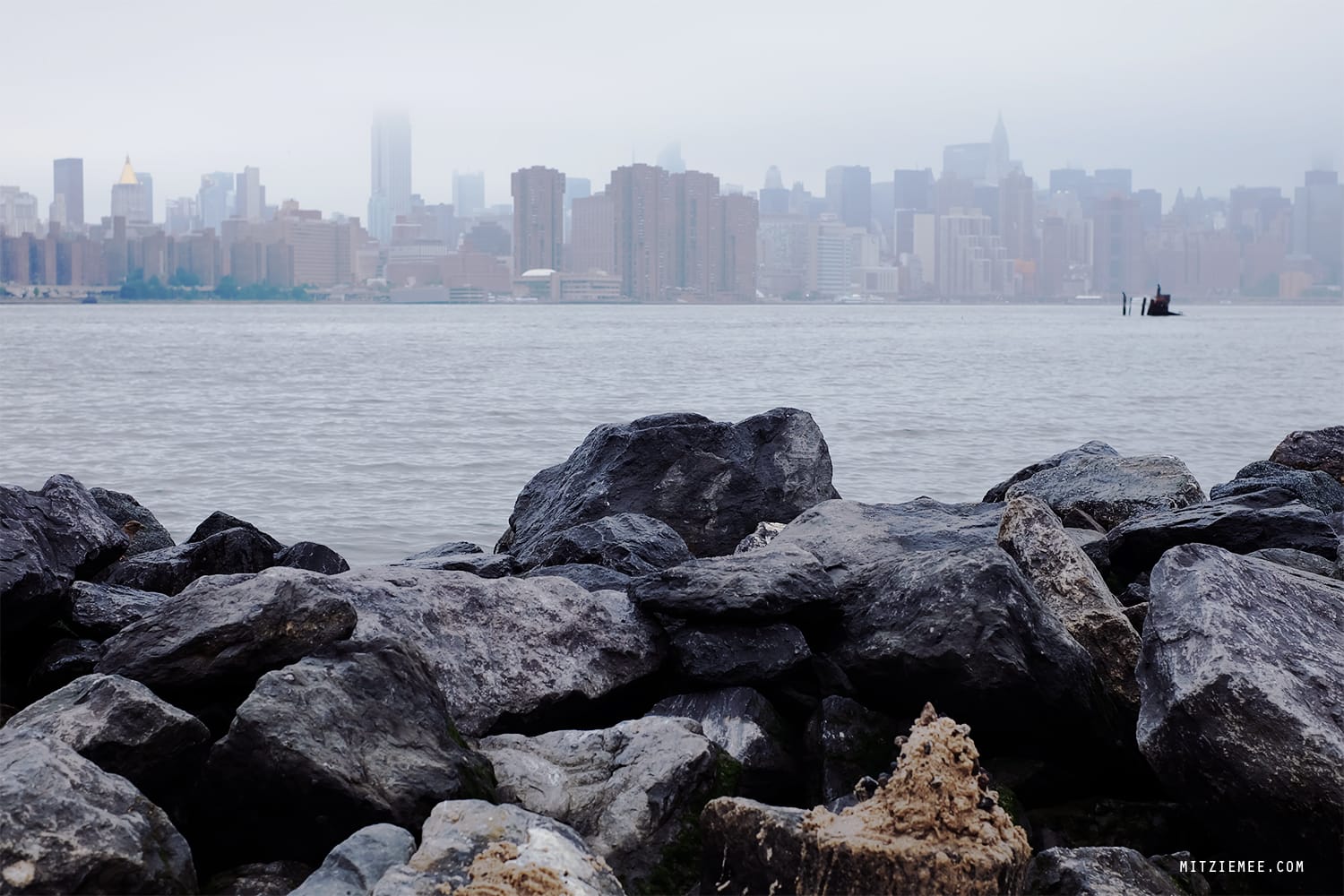 Smorgasburg, Williamsburg New York