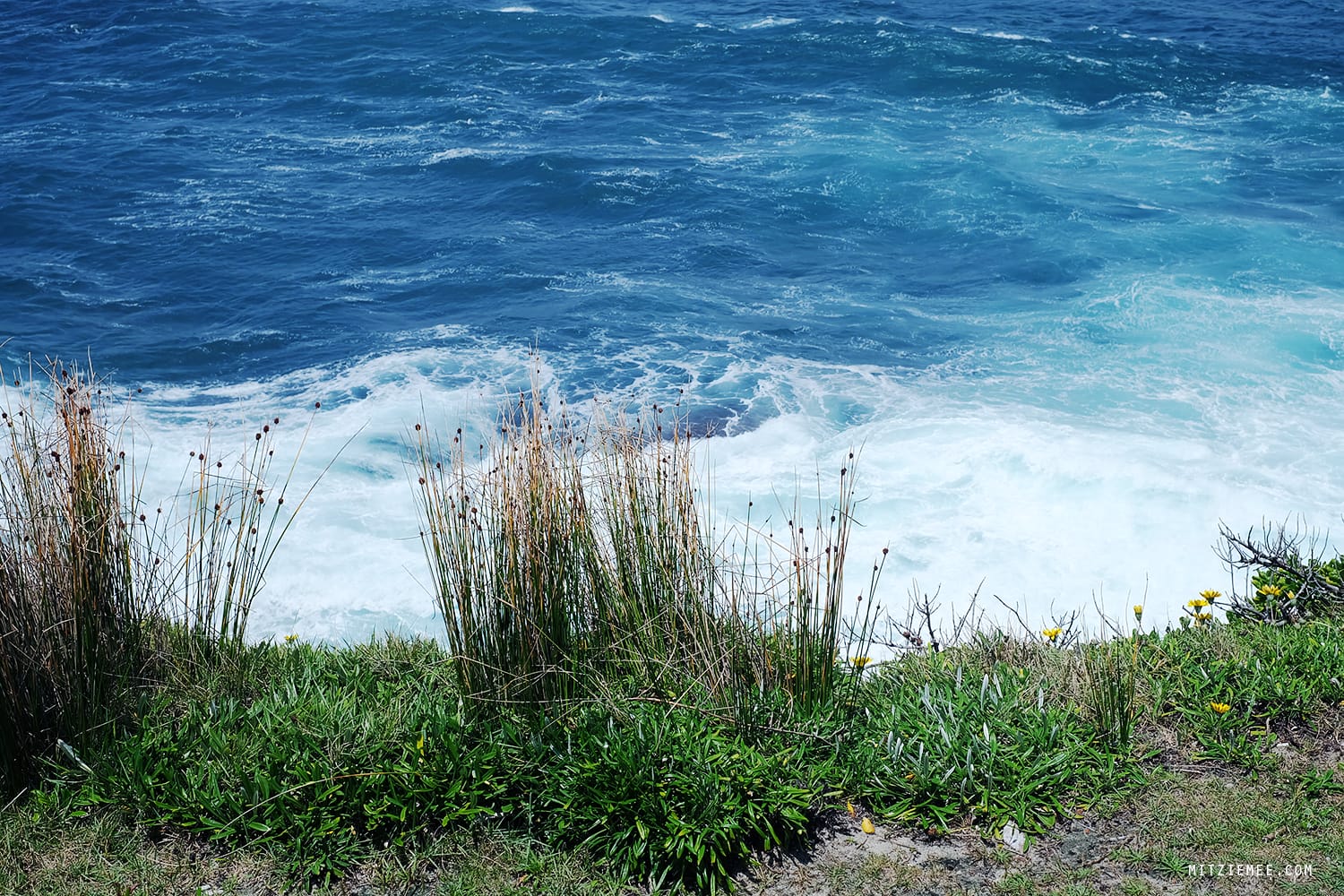 Walk from Bondi Beach to Bronte Beach, Sydney