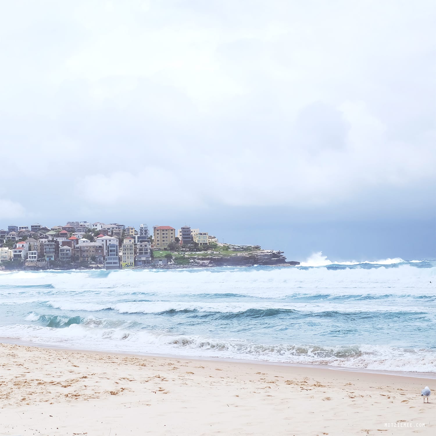 Walk from Bondi Beach to Bronte Beach, Sydney