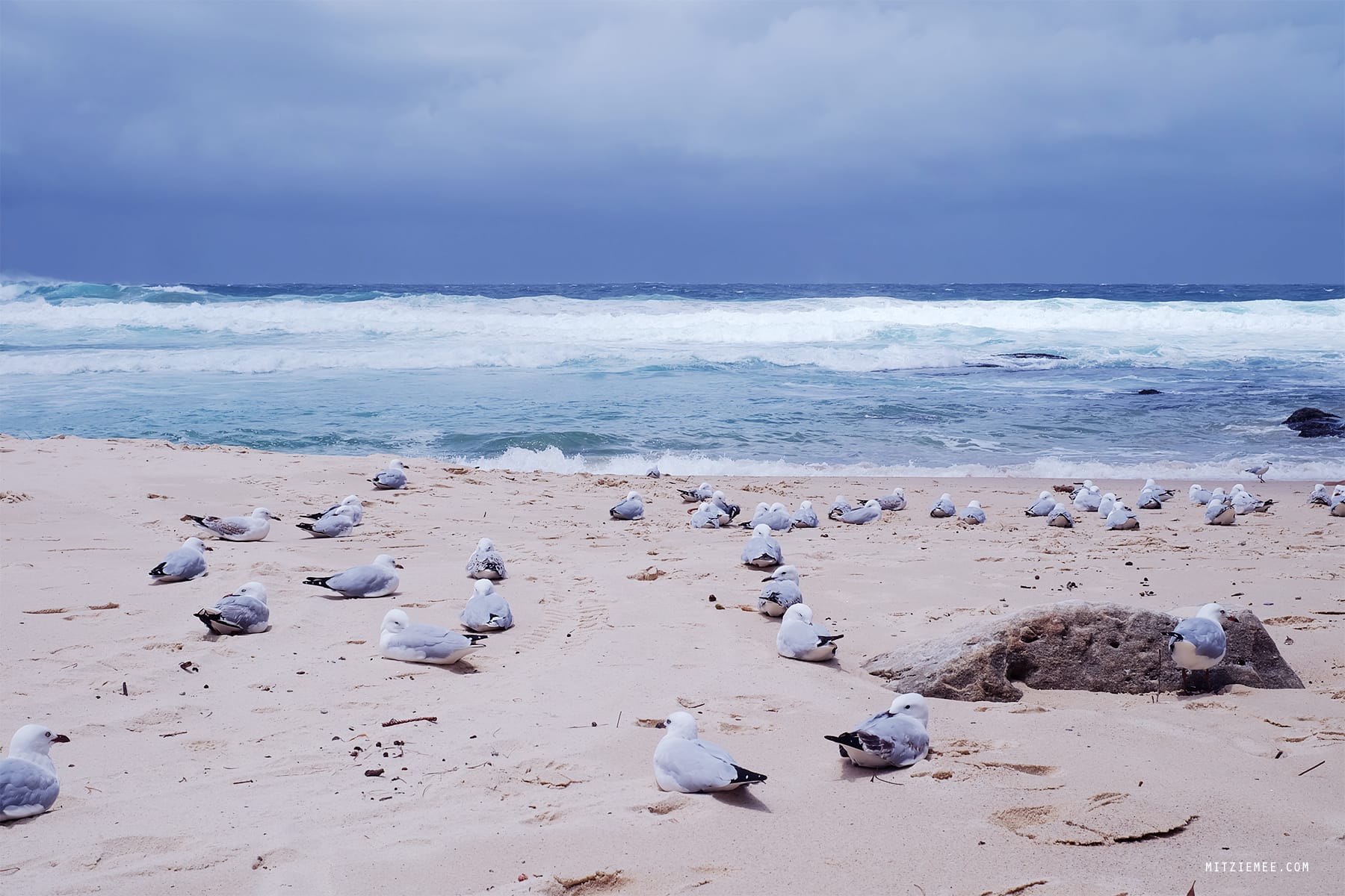 Walk from Bondi Beach to Bronte Beach, Sydney