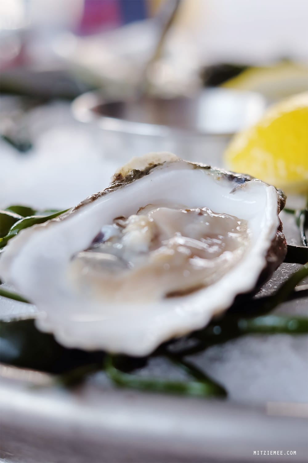 Grey Lady, Lower East Side, New York
