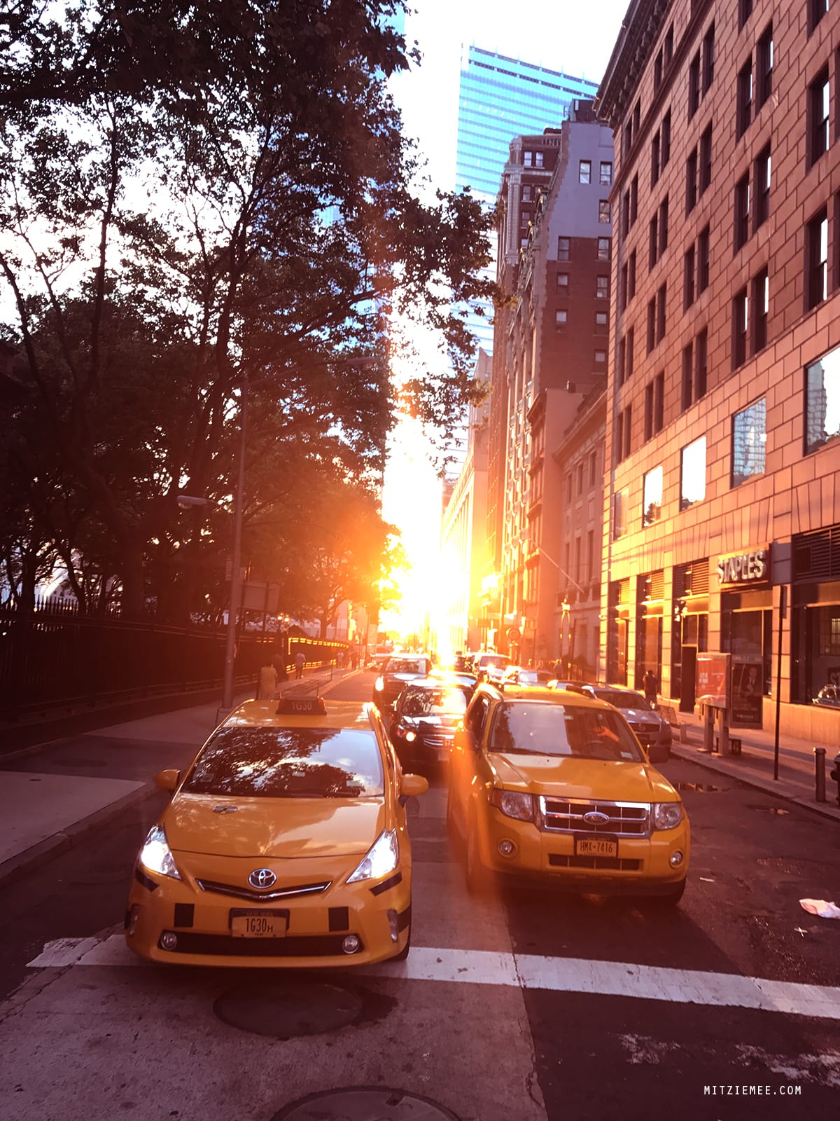 New York City Blog