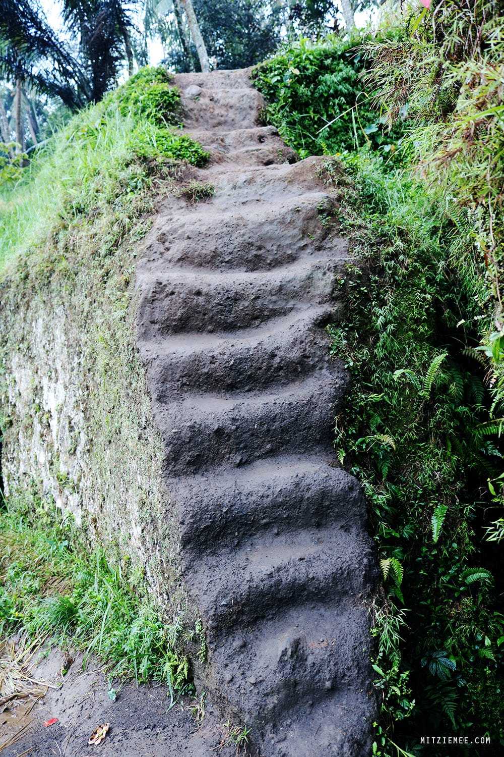 Tegallalang rice terraces, Bali