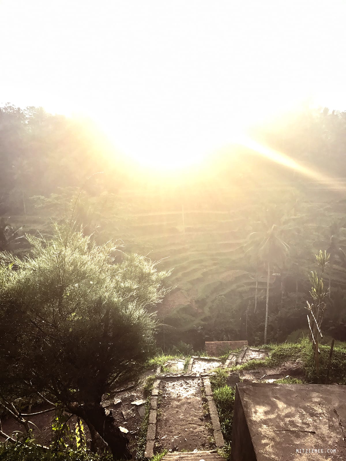 Tegallalang rice terraces, Bali